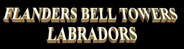flandersbelltowers